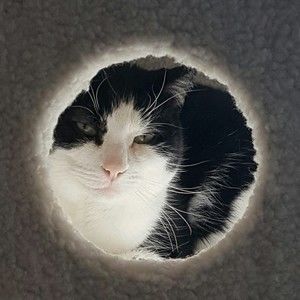 Meet your Posher, Kristine